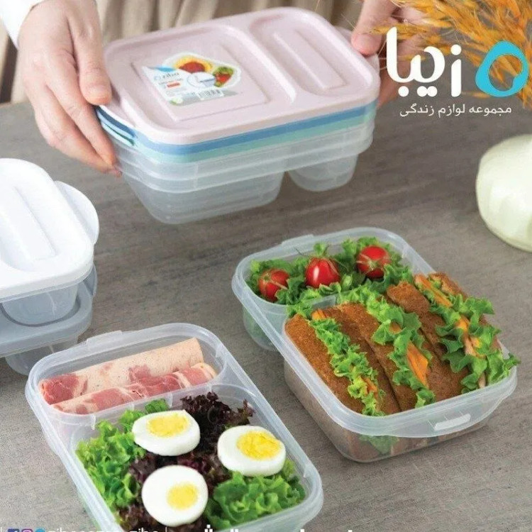 ظرف غذا و اردوخوری چندخانه زیباسازان مدل توژی (۲ خانه و ۳ خانه)